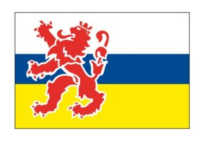 Limburgse vlag