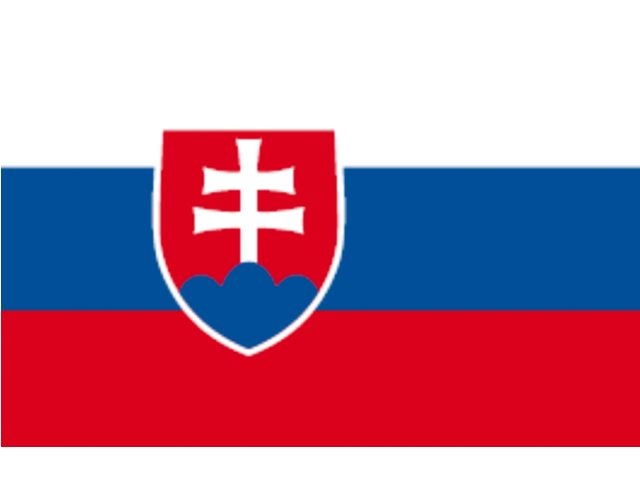 Slowaakse vlag