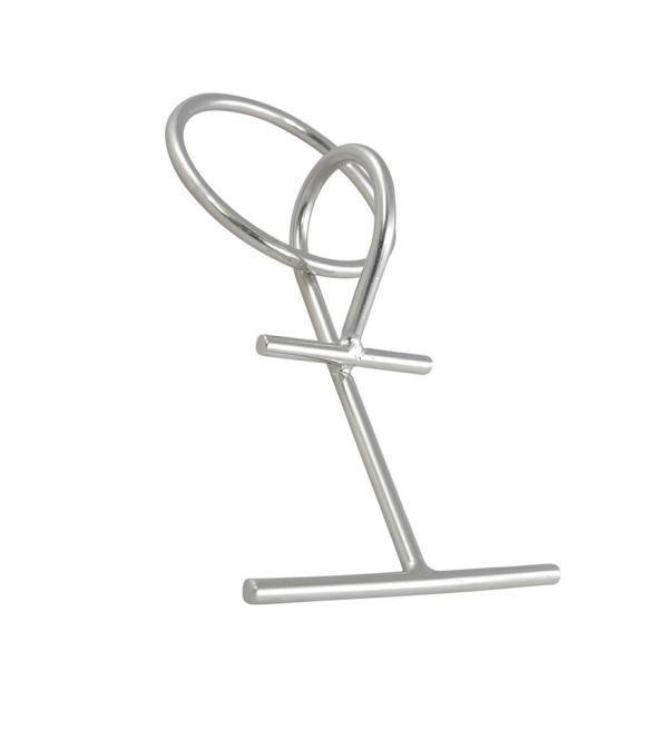 Verplaatsbare meeneem aanlegring met oog - RVS A4-AISI316