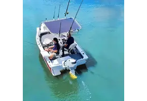 T-top met  luifel - bimini