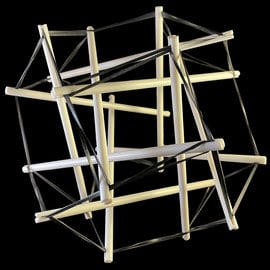 Biotensegrity