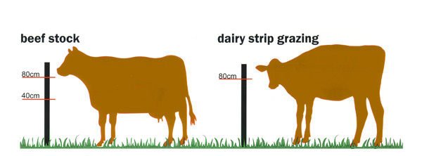 Fencing Height Guidelines Electric Fence Online Electric Fence Online