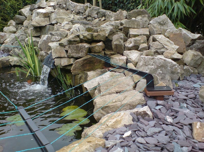 Electric fencing for gardens and ponds | Case Study - Electric Fence Online
