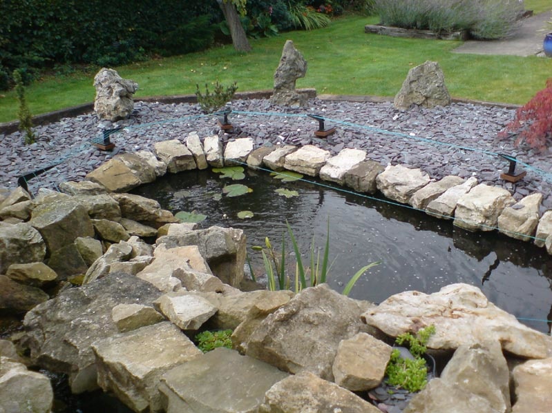 Electric fencing for gardens and ponds Case Study Electric Fence Online