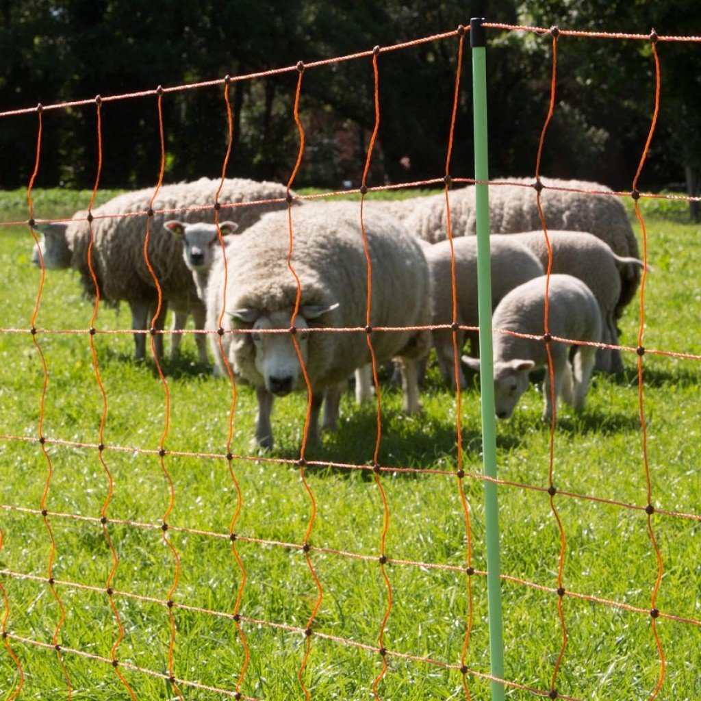 Gallagher Sheep Netting 90 cm 50 m Double Pin Orange Electric