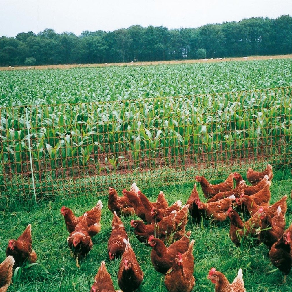 Gallagher Poultry Netting 112 cm 50 m Single Pin Orange Electric