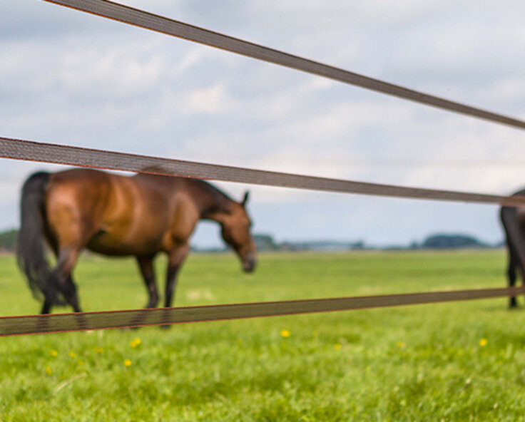 How does an electric fence work and what are the benefits?