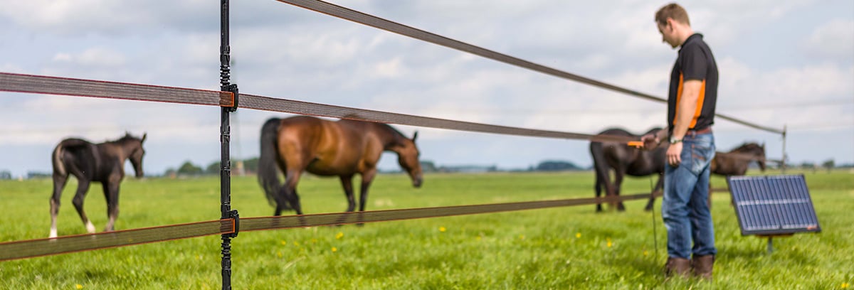 Rotational Grazing Using Electric Poultry Fence