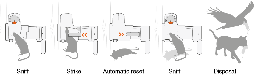 Goodnature® A24 rat + stoat trap with labels indicating the locations