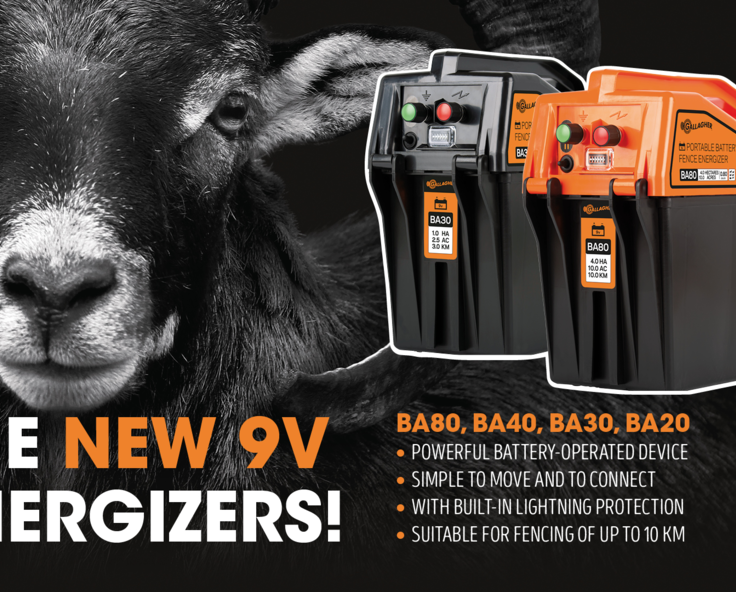 The new 9 V Energizers