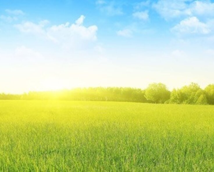 Understanding IP Ratings in the UK