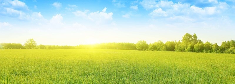 Understanding IP Ratings