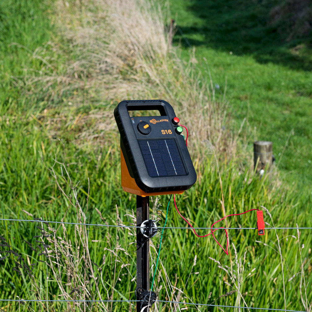 Gallagher S16 Solar Powered Energiser/Charger + Battery (6V) Electric