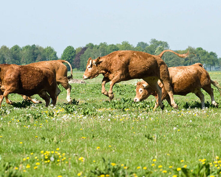Get Ready For Spring With Your Field Maintenance