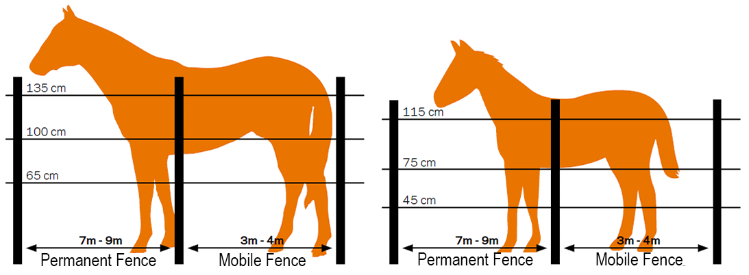 Overview of electric fencing and weighing systems for horses