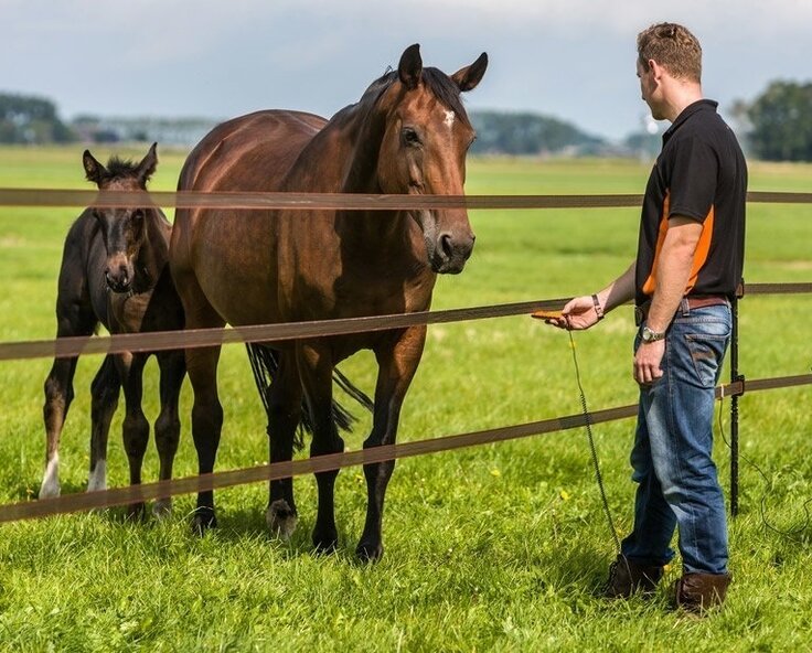 How To Set Up Electric Fencing for Horses