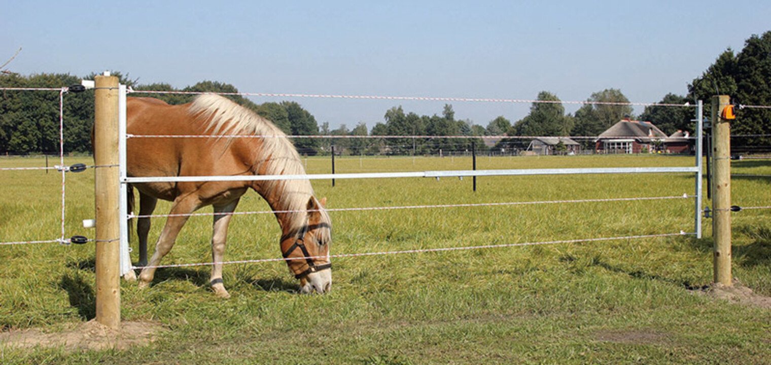 How to build an electric fence for horses
