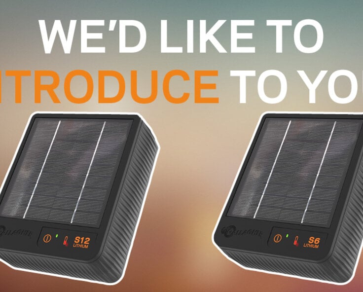 NEW Gallagher Solar Energisers