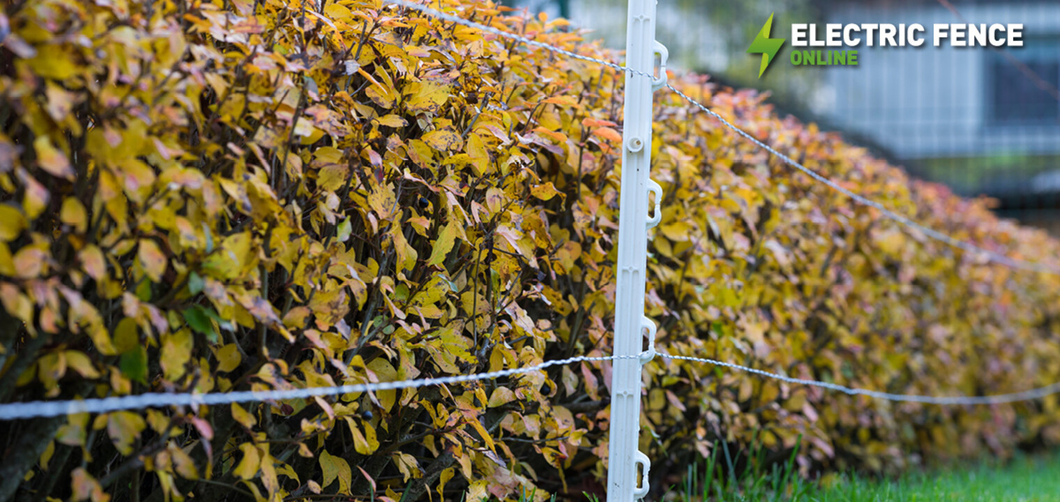 Is your fence Autumn ready?