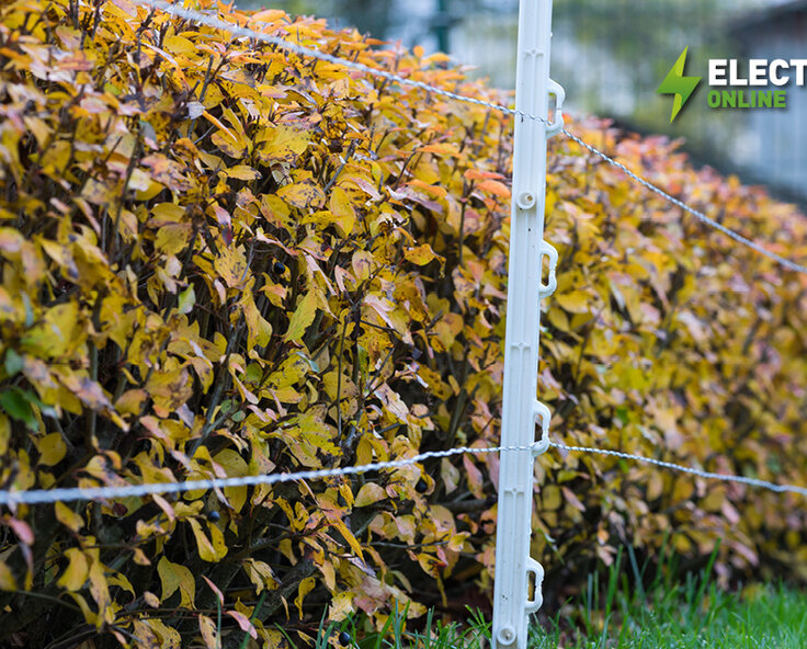 Is your fence Autumn ready?