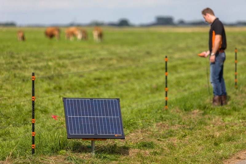 Electric Fence Rent Hire