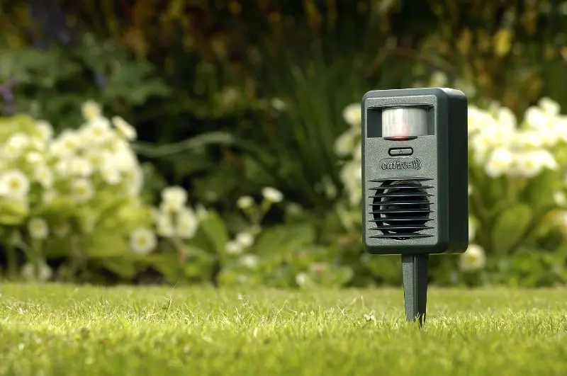 CatWatch ultrasonic cat deterrent buyer's Guide Blogs