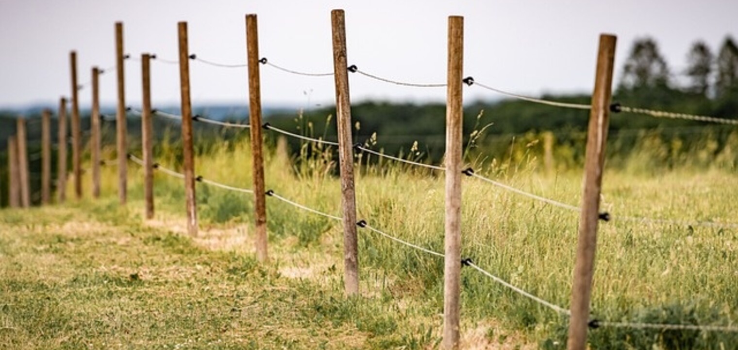 Guide to the advantages of electric fence polywire