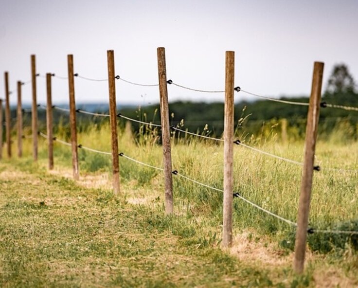 Guide to the advantages of electric fence polywire