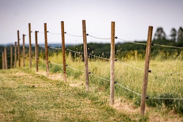 Guide to the advantages of electric fence polywire