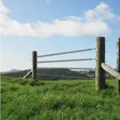  Electric Fence Gates