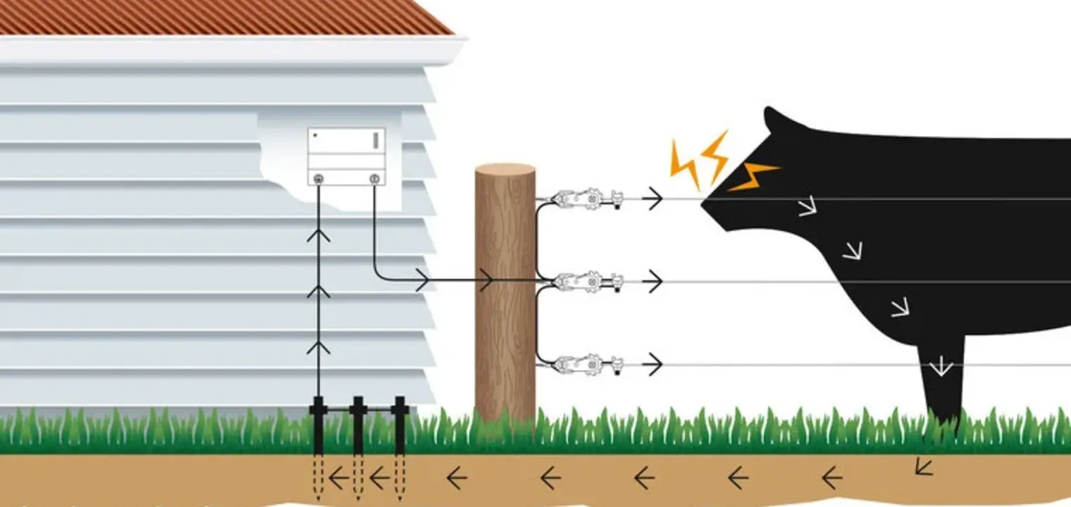 How does an electric fence work?