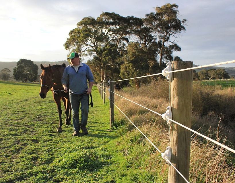 Horse post
