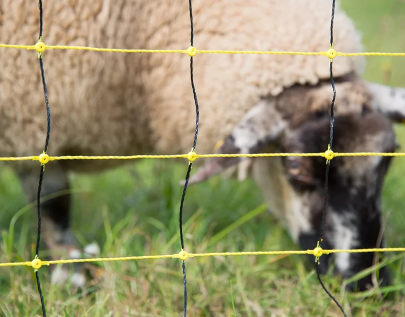 sheep netting