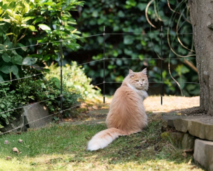 How to stop cats pooping in your garden and protect your flowerbeds