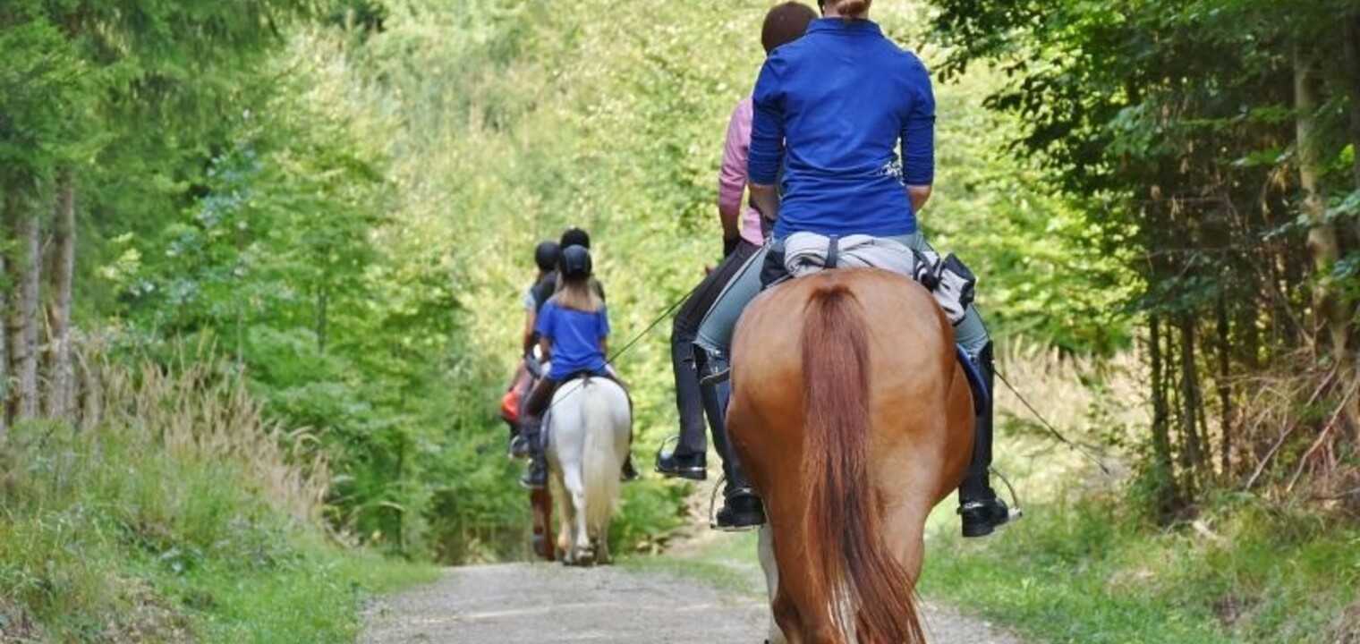 EFO’s Top 5 Horse Riding Destinations in the UK (2025)