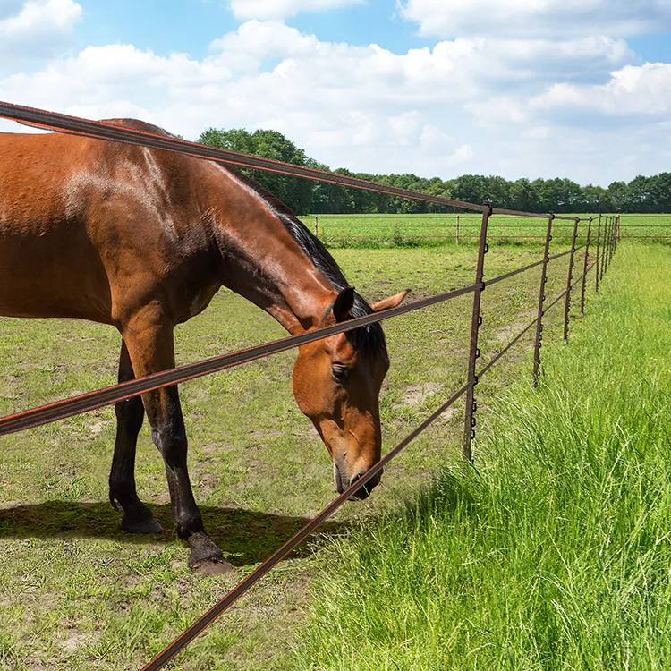 Fence Tape