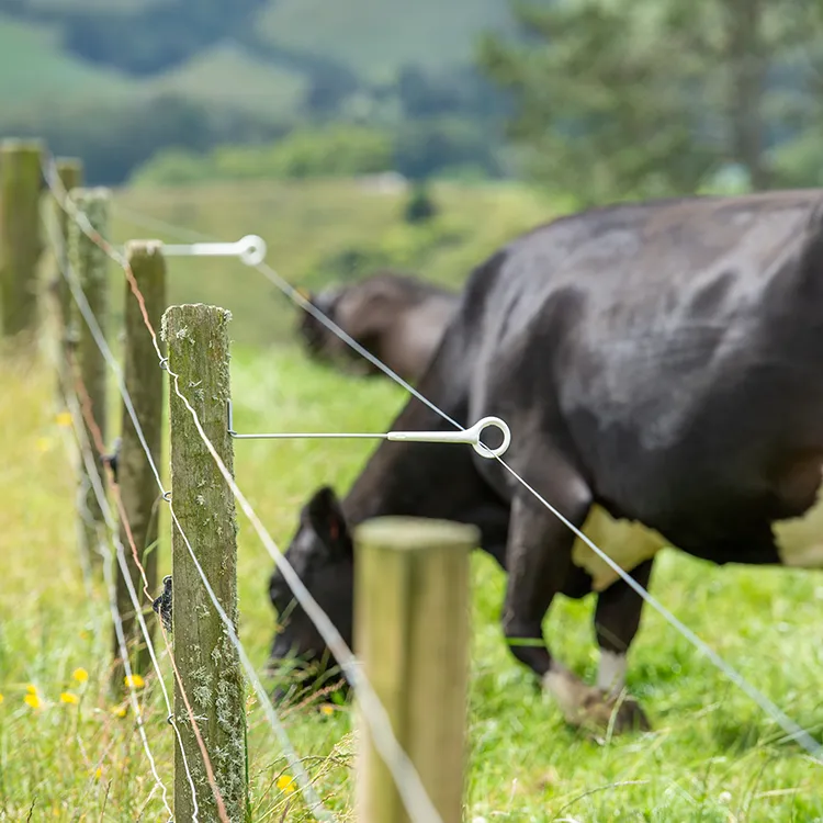 Fence wire