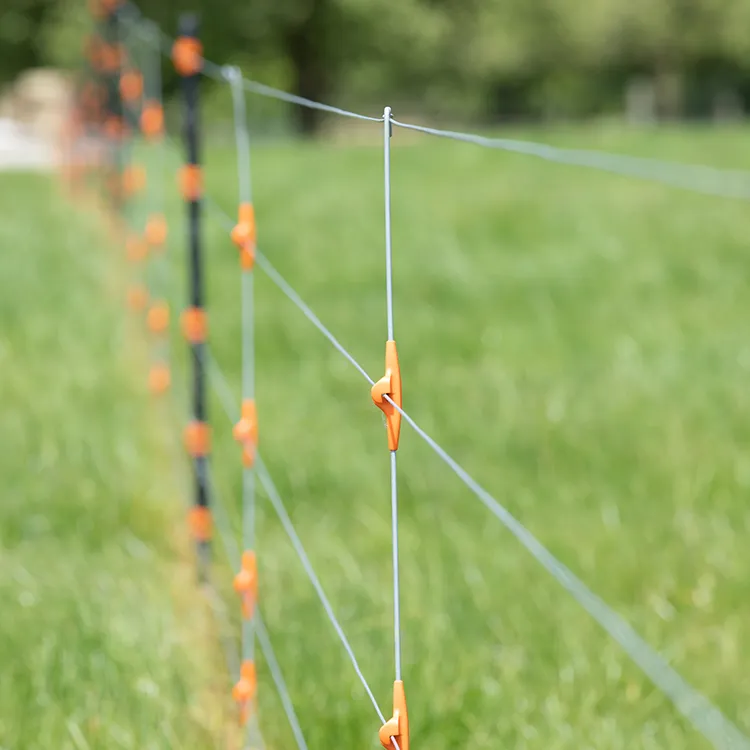 fence wire set up