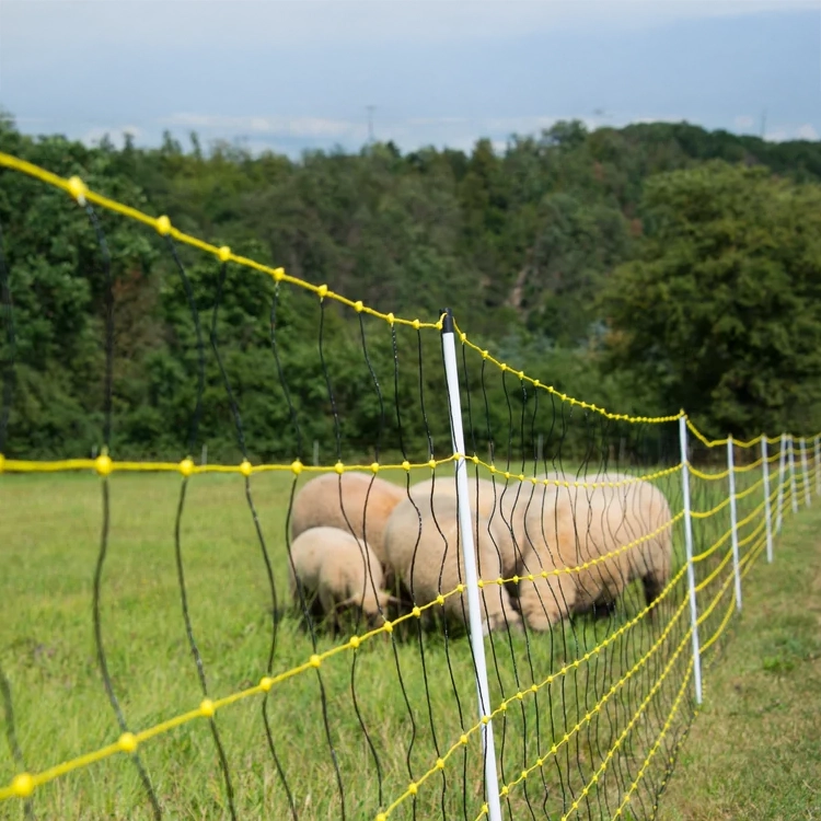 sheepnetting