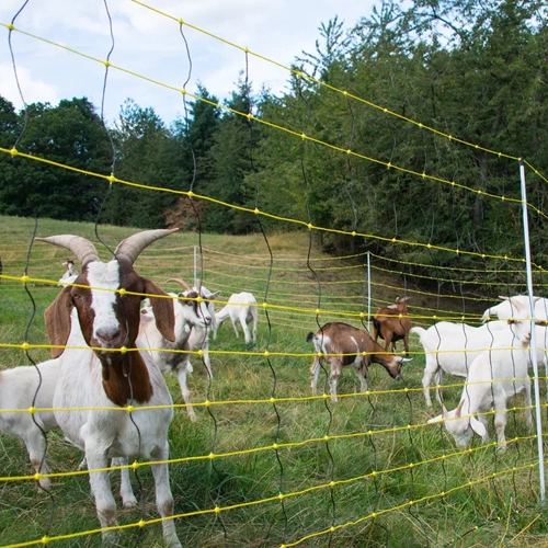 Goat netting
