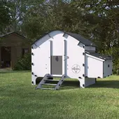 Chicken Coops
