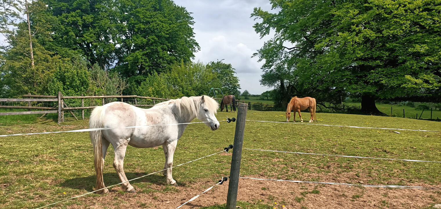 Tracking – The Electric Fence Way