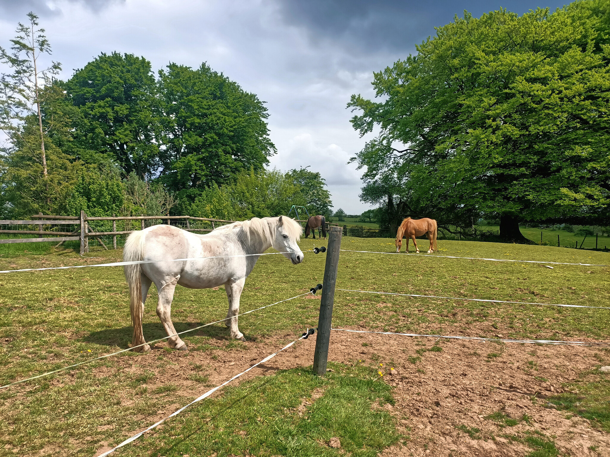 Tracking – The Electric Fence Way