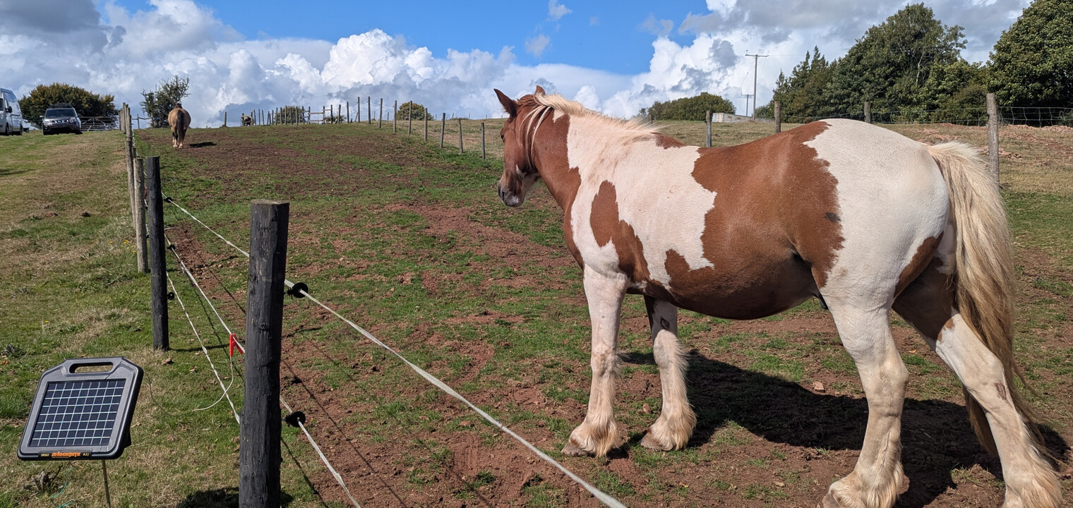 Struggling with 12v battery energisers? Go for solar panel energises!