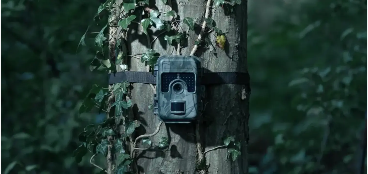 Check your fence: how farmers use wildlife cameras to spot wildlife activity