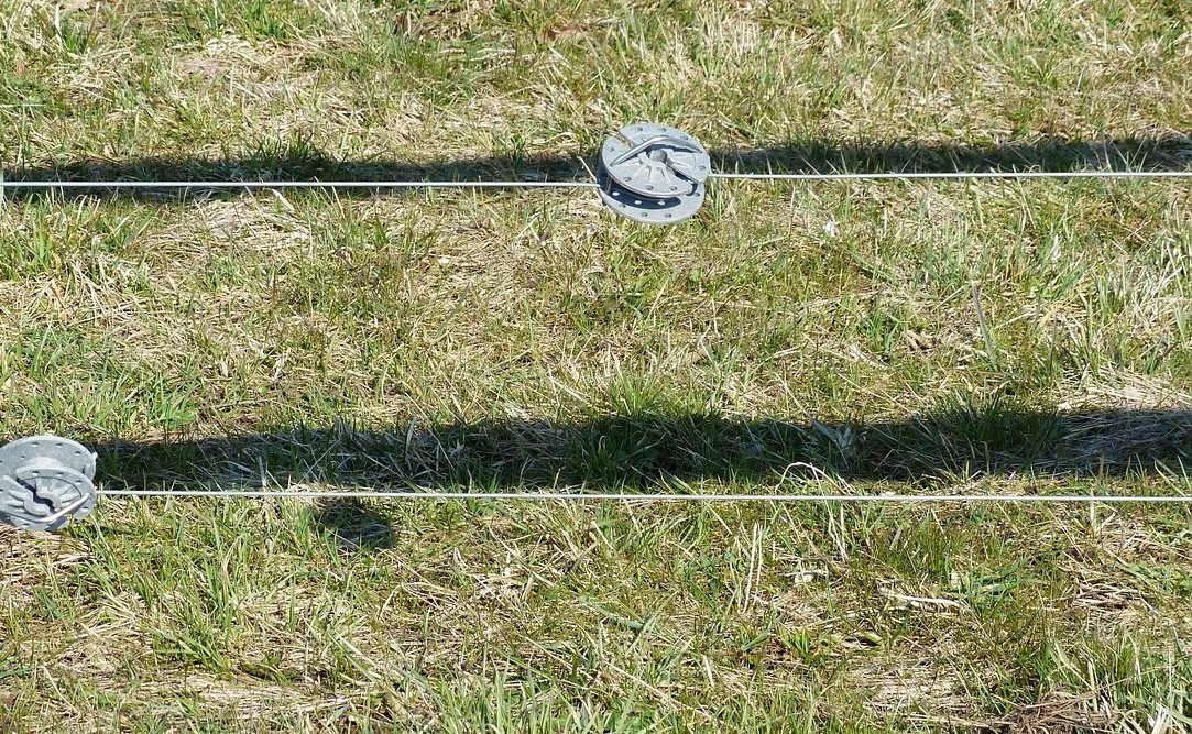 eco post in horse fencing