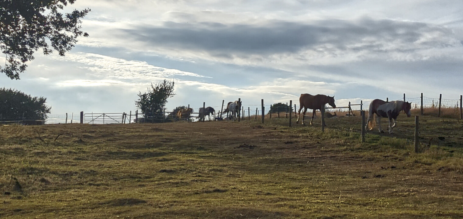 Is Three ( runs of tape) Really A Crowd?