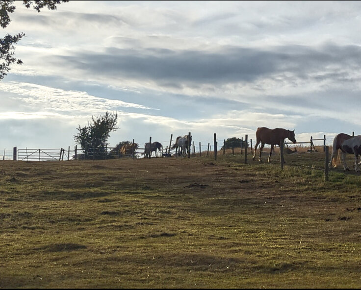 Is Three ( runs of tape) Really A Crowd?
