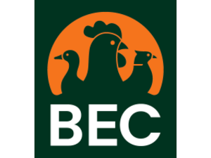BEC