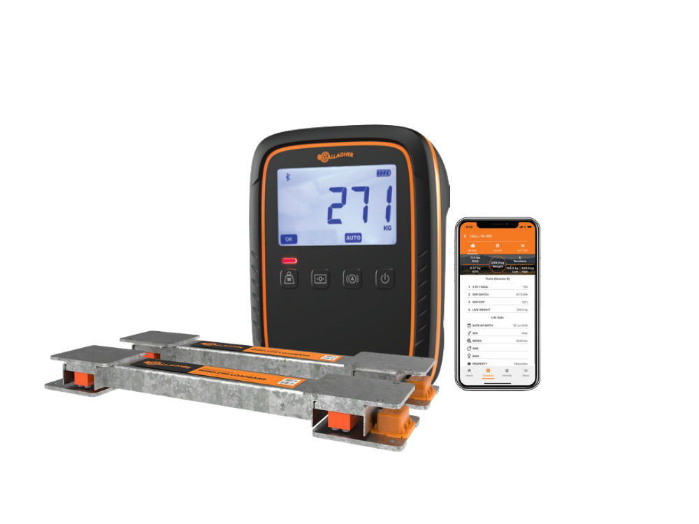 sheep weighing kit 2